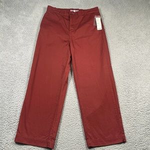 Urban Outfitters Wine Burgundy Red Wide Leg Carpenter Pants